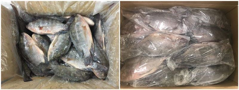 20210719142229fd78a15ee3b6488eb18ecc8b51a15532