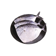 Pielāgota saldēta poniju zivs