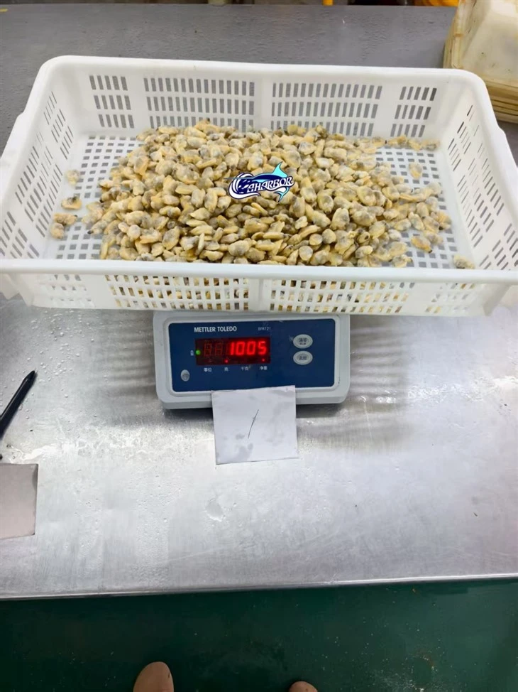Frozen Asian Clam Meat
