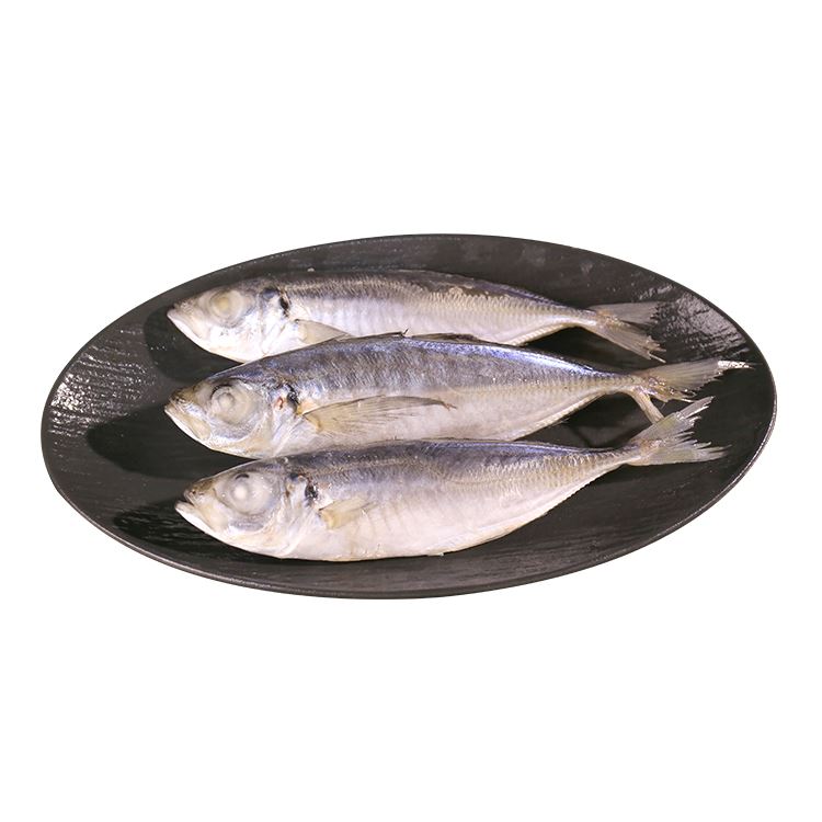 Saldēta zirga makrele/ trahurus trachurus