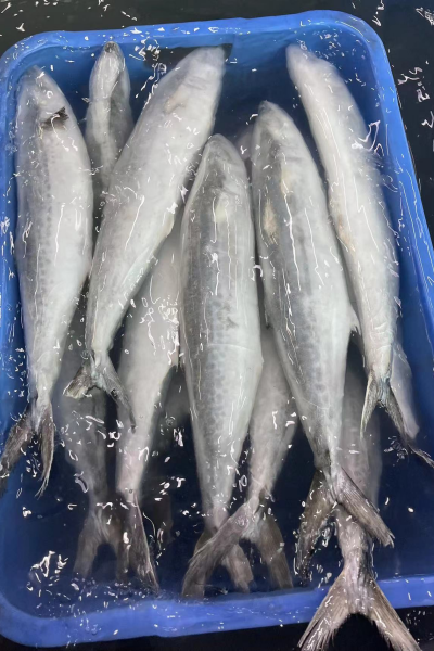 20240925145605 20240925145605