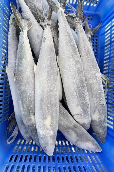 20240924162714 20240924162714