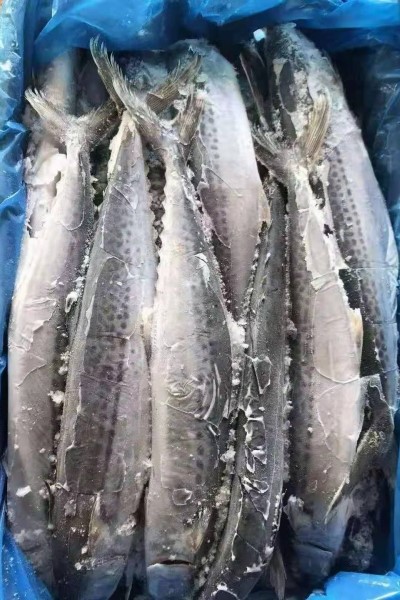 20210309135849 20210309135849