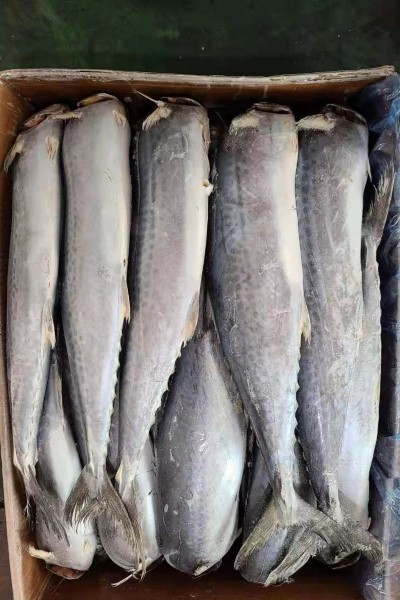 20210309161535 20210309161535