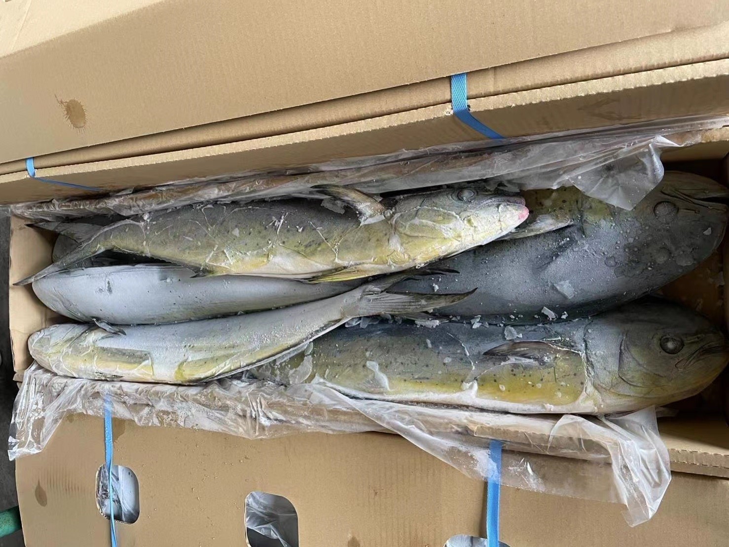 37506325813412075934875492141084280257815851n 37506325813412075934875492141084280257815851n