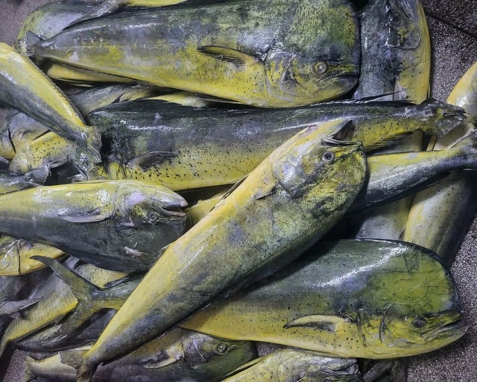 45497371018212168450353483979783995322872250n 45497371018212168450353483979783995322872250n