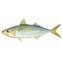 product-127-127 product-127-127