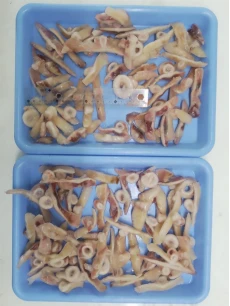 product-230-306